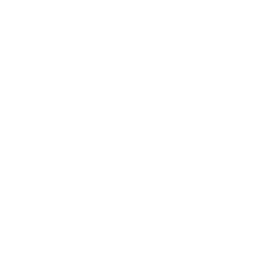 Jazzy Spins 500x500_white